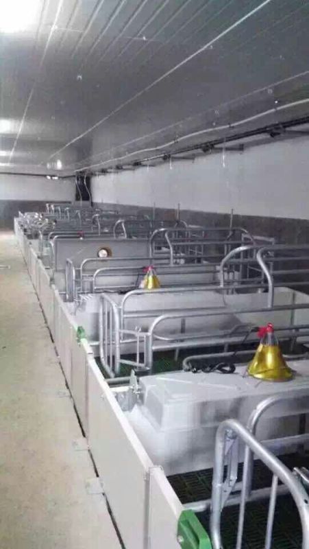 四川养猪设备双猪位母猪产床欧式产床尺寸价格