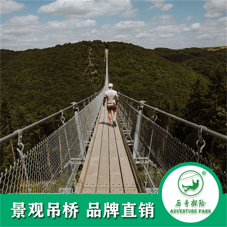 悬索吊桥 跨山跨湖跨河吊索桥 人行景观桥 景区峡谷水上 规划设计安装