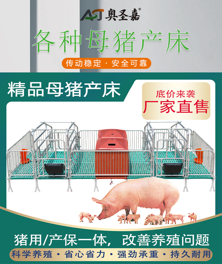 供应畜牧养殖设备母猪产床欧式产床2.2*3.6漏粪板猪食槽厂家直销图片