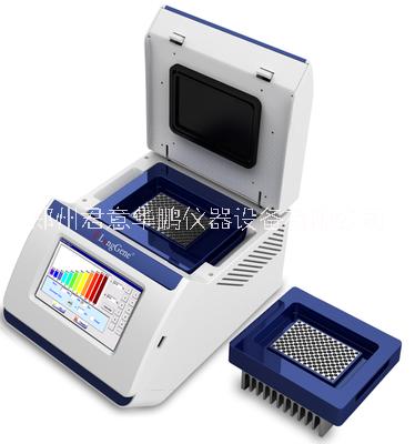 A200型全触控屏梯度PCR仪批发