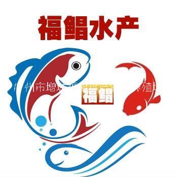 广州市增城福鲳水产鱼苗养殖场