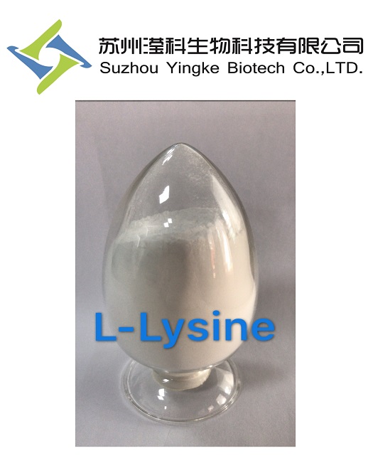 供应L-赖氨酸56-87-1厂家直销