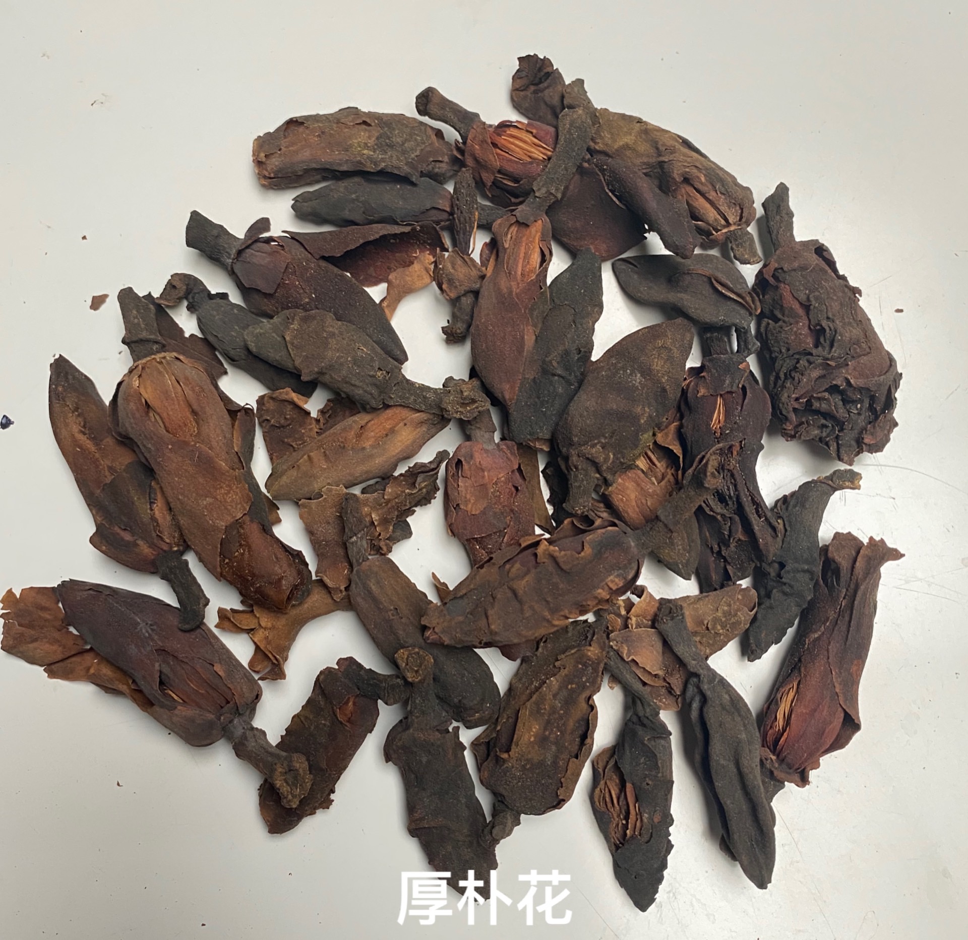 亳州市厚朴花厂家厚朴花-价格-哪里买得到【亳州市奇弘堂药业有限公司】