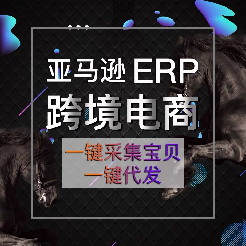 深圳市亚马逊erp铺货采集系统OEM贴牌独立部署服务器 G