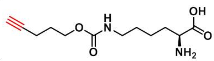 氨基酸标记物 N-戊炔氧羰基]-赖氨酸,CAS:1428845-01-5图片
