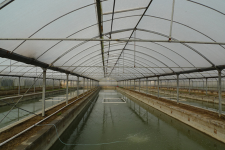 弘康温室 畜牧水产养殖温室大棚建设 温室骨架、配件加工销售