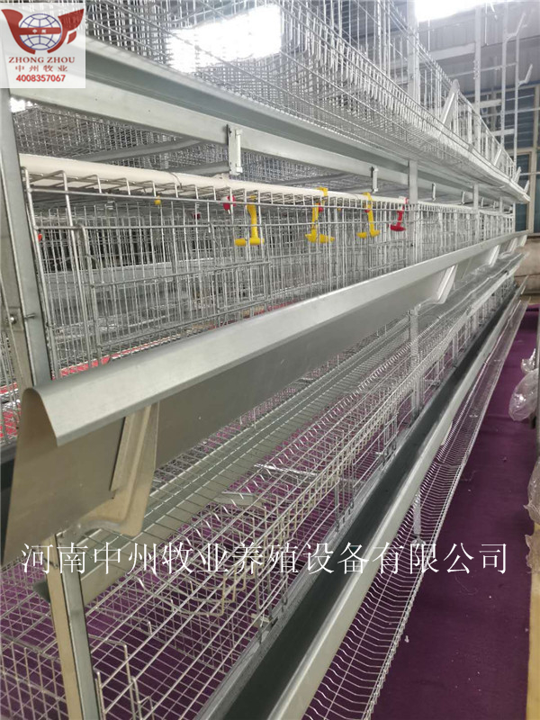自动化鸡笼 中州牧业生产鸡笼片笼网支持来料加工定制