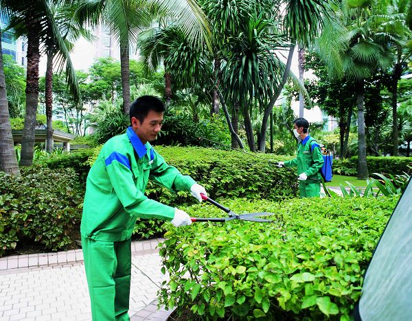 广州佛山园林绿化，学校单位小区绿化养护服务