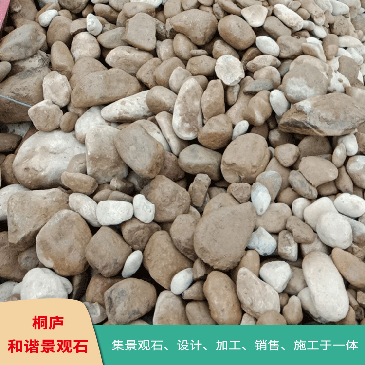 浙江天然景观石批发 园林河卵石鹅卵石价格自然石原石图片