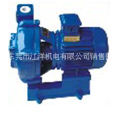 HYL型耐酸陶瓷泵 HYL2K-40/20陶瓷耐腐蚀离心泵图片