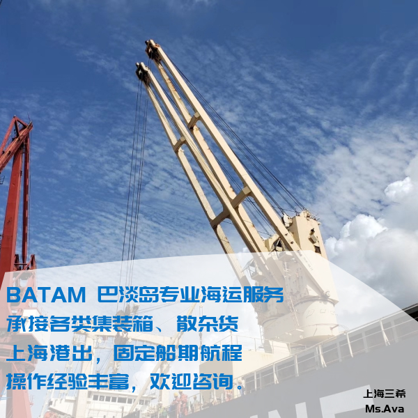 上海到巴淡岛散杂货运费BATAM散杂船租船服务图片
