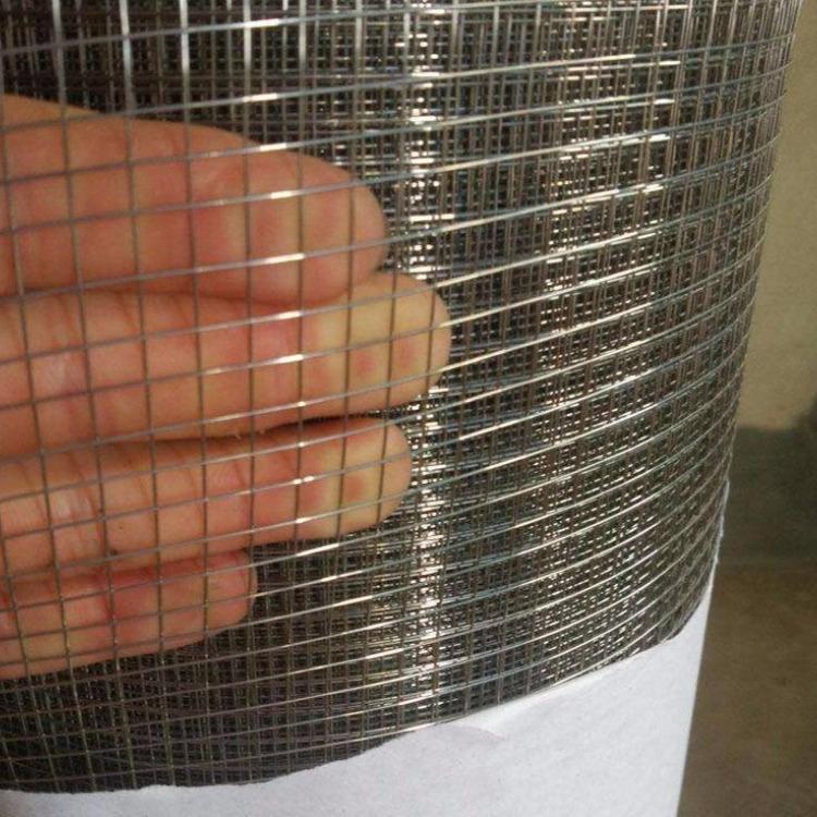 厂家直销 电焊网 建筑保温防裂用网图片