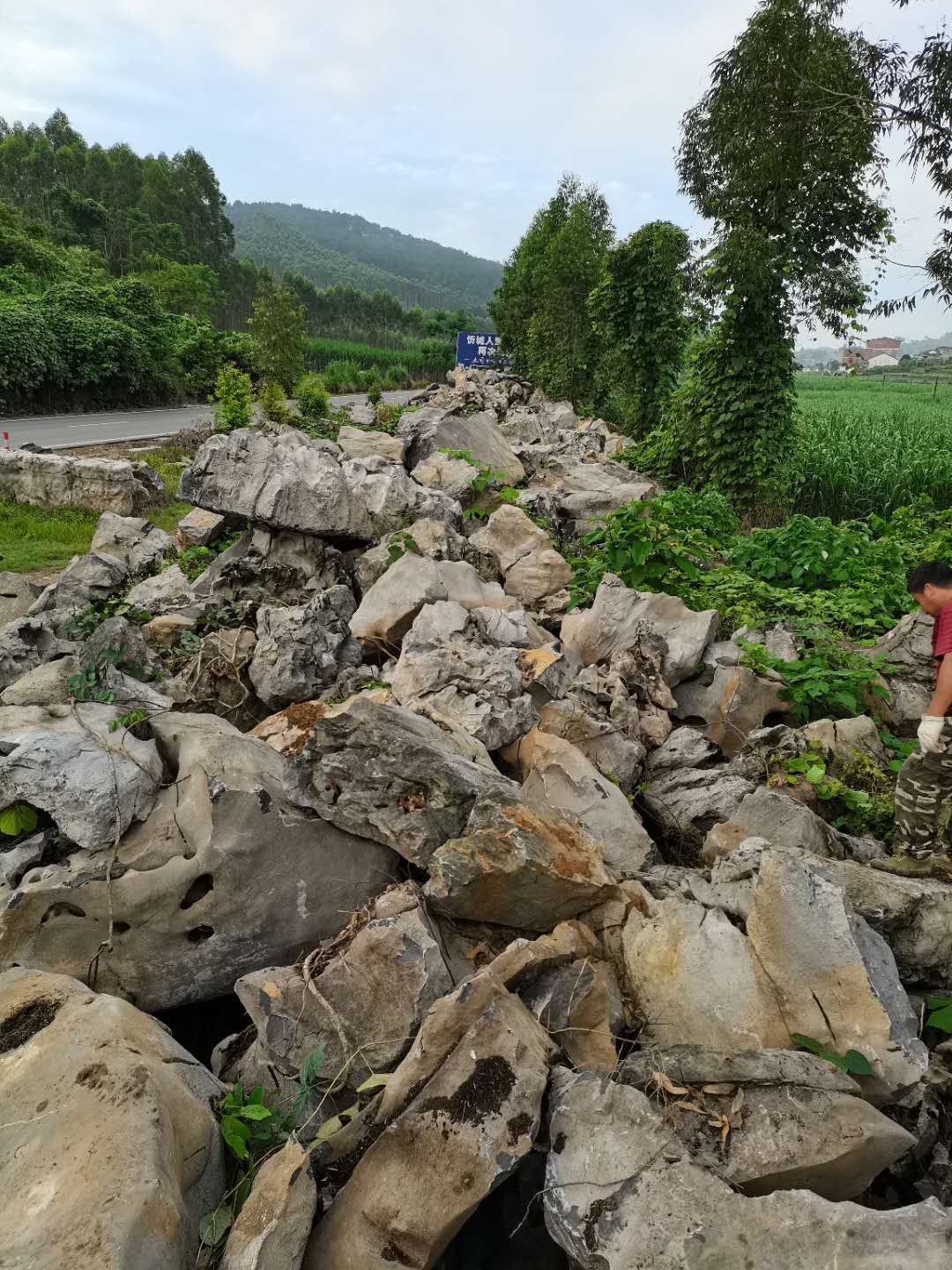 桂林太湖石产地直销价格产地直供哪家好【广西太湖石销售】