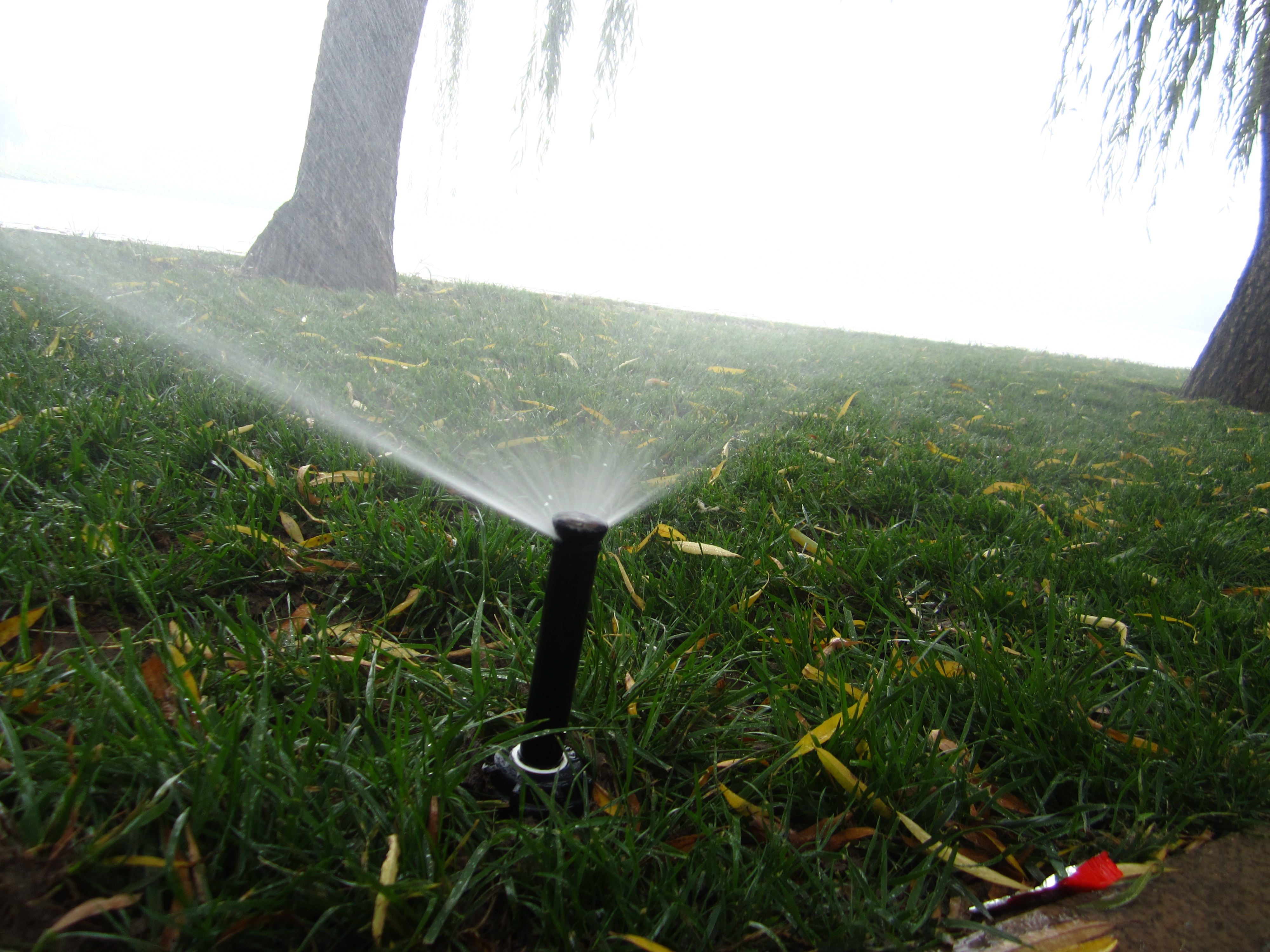 美国托罗570Z地埋散射喷头庭院散射喷头花园地埋喷头公园灌溉喷头