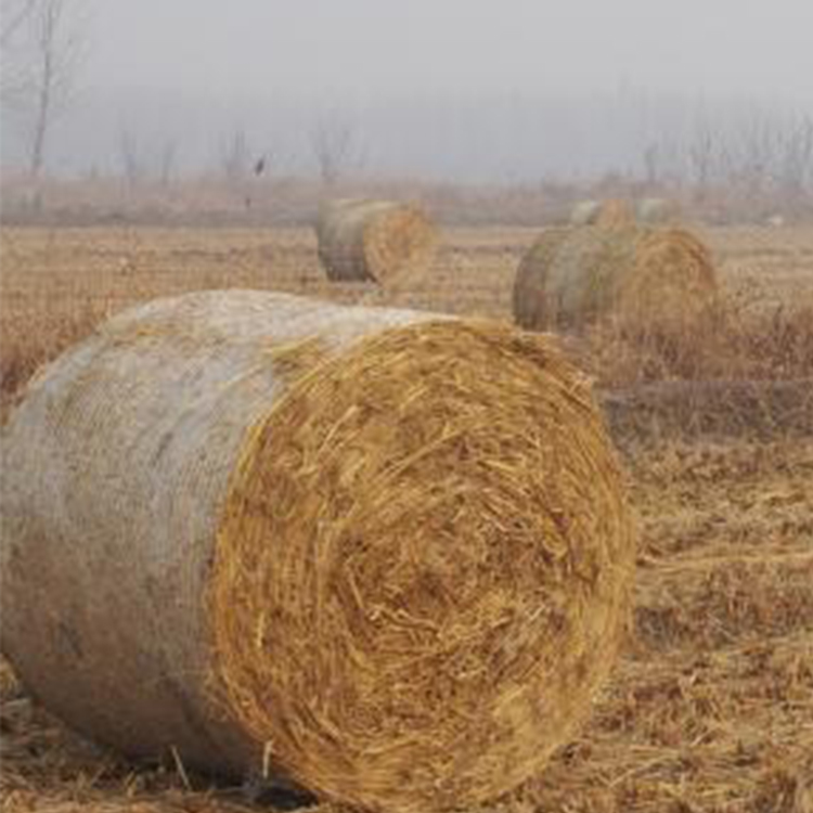 山东牧草网     牧草网厂家  捆草网    玉米秸秆打包网