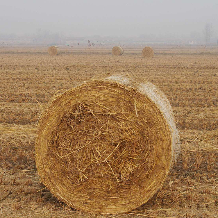 牧草网批发     小麦秸秆捆草网  秸秆饲料牧草网  缠绕网   青储饲料牧草网