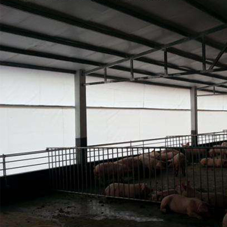 防寒保暖猪场卷帘安装方法 养殖场猪舍猪场专用卷帘布 猪栏养牛场窗帘布