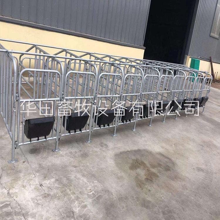 养殖设备母猪定位栏限位栏华田畜牧一站式采购量大从优图片