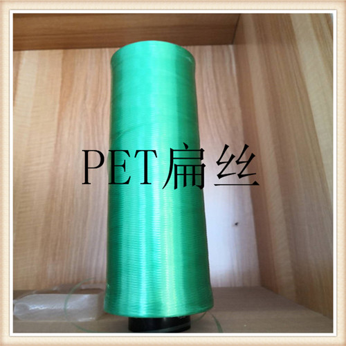 PET 聚酯扁丝机设备生产厂家