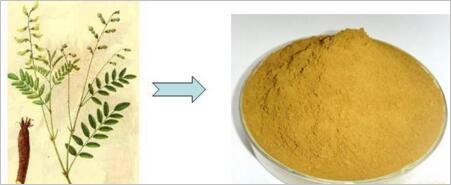 黄芪甲苷湖南生产植物提取物 黄芪甲苷价格 生产黄芪甲苷5% 黄芪甲苷10%价格