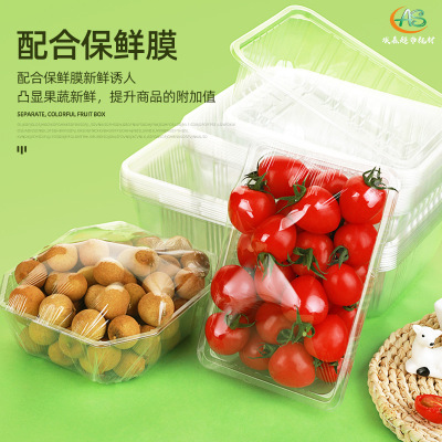 一次性生鲜托盘 pet透明超市蔬菜水果熟食打包盒 水果托盘 保鲜果盒