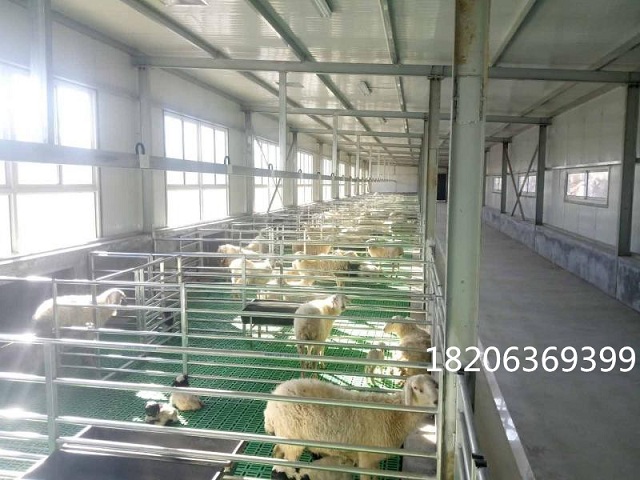 高架羊漏粪板塑料羊床板不卡羊蹄纯原料羊粪板生产厂家图片