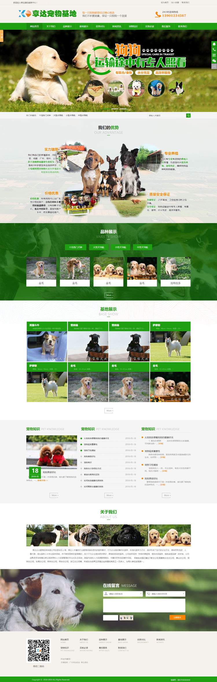 邯郸宠物美容培训学校网站设计 |  宠物托运公司网站定制图片