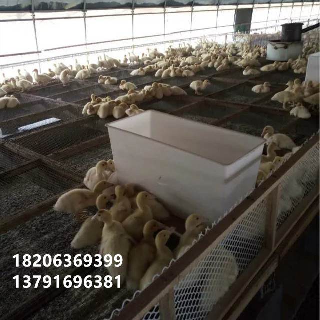 潍坊市抗老化鸭料箱厂家塑料鸡鸭鹅料箱抗老化鸭料箱长方形可限料鸭食槽