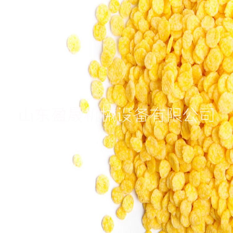 济南市膨化玉米片生产线|全自动省人工厂家