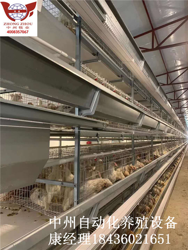 河南中州自动化鸡笼 面向全国销售蛋鸡笼