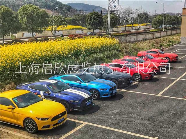 上海市福特Mustang出租厂家