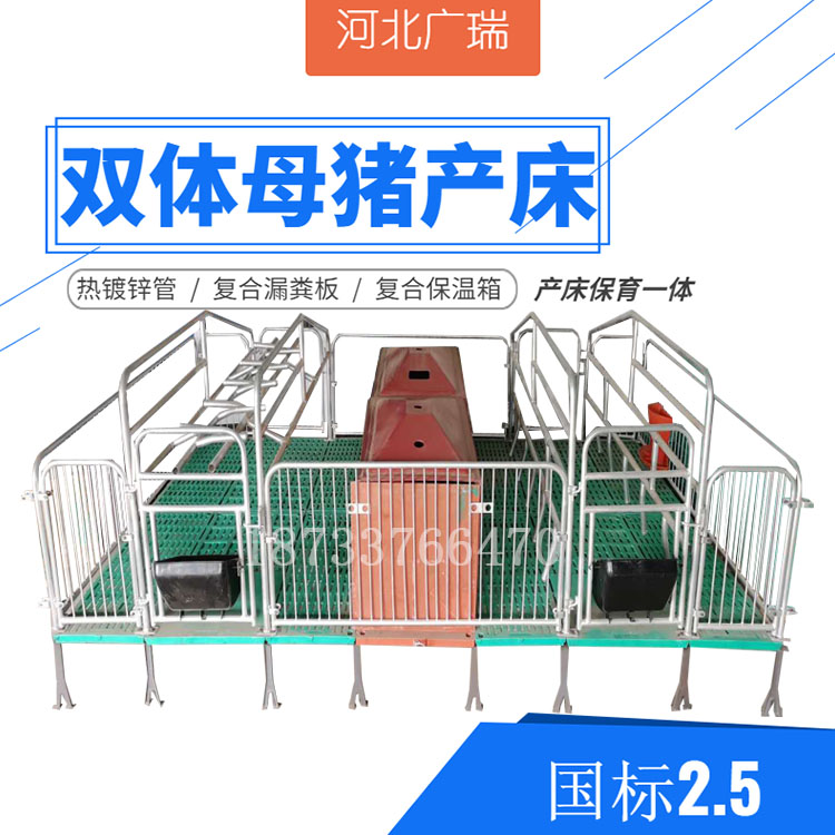 母猪产床保育床单双体产保一体母猪定位栏养猪设备 广瑞养殖设备