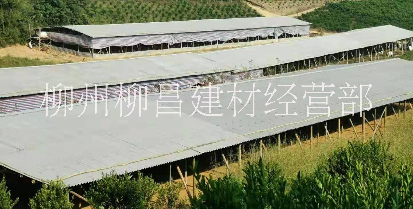广西柳州搭建养殖工棚  柳州养殖工棚承接价格 施工队