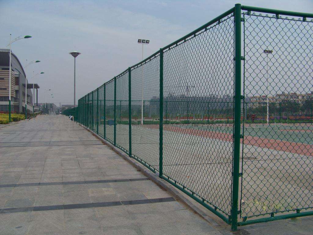 球场防护网  球场护栏网   球场围栏网
