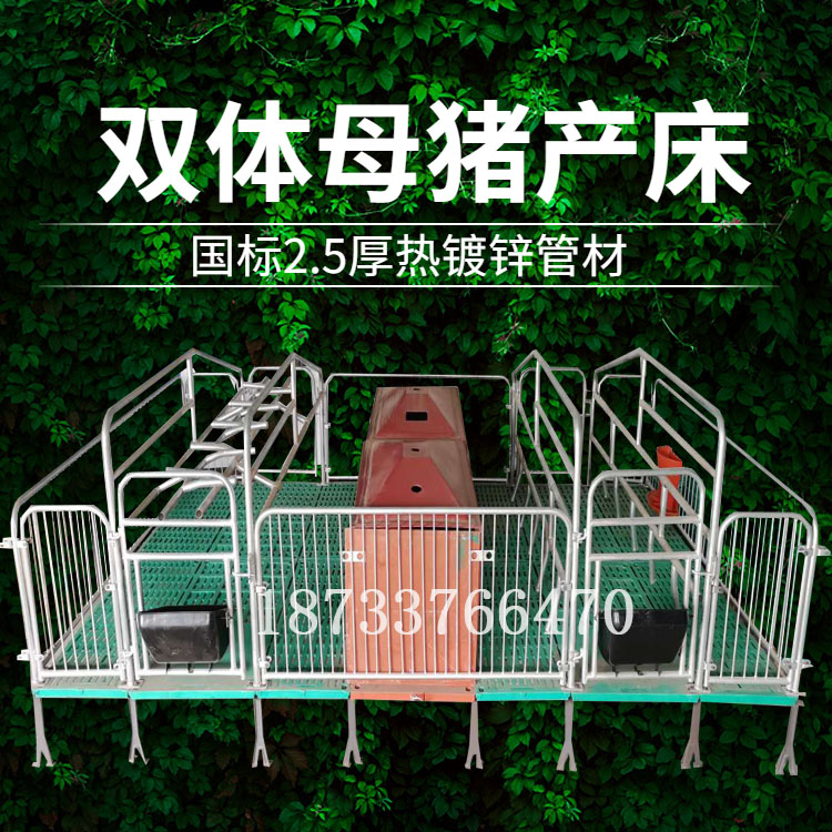 母猪产床保育床单双体产保一体母猪定位栏养猪设备 广瑞养殖设备