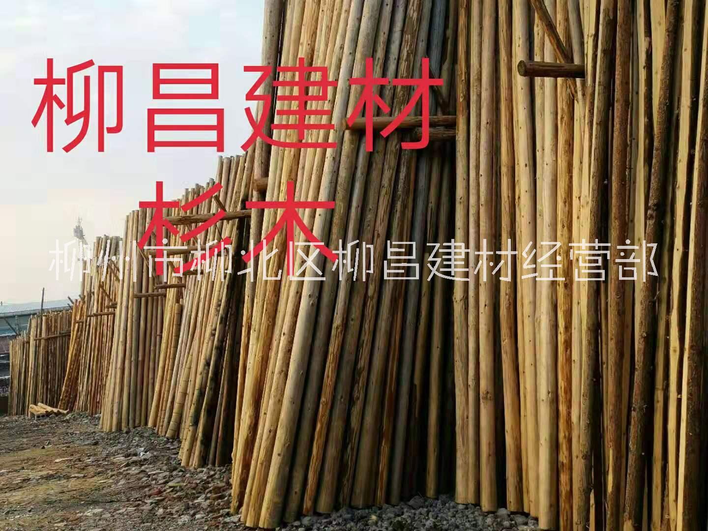 广西柳州杉木林场产地直销销售