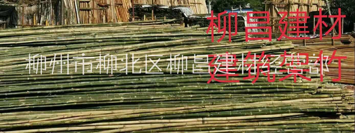 柳州高竹毛竹产地销售-竹子架-竹架租赁 欢迎咨询