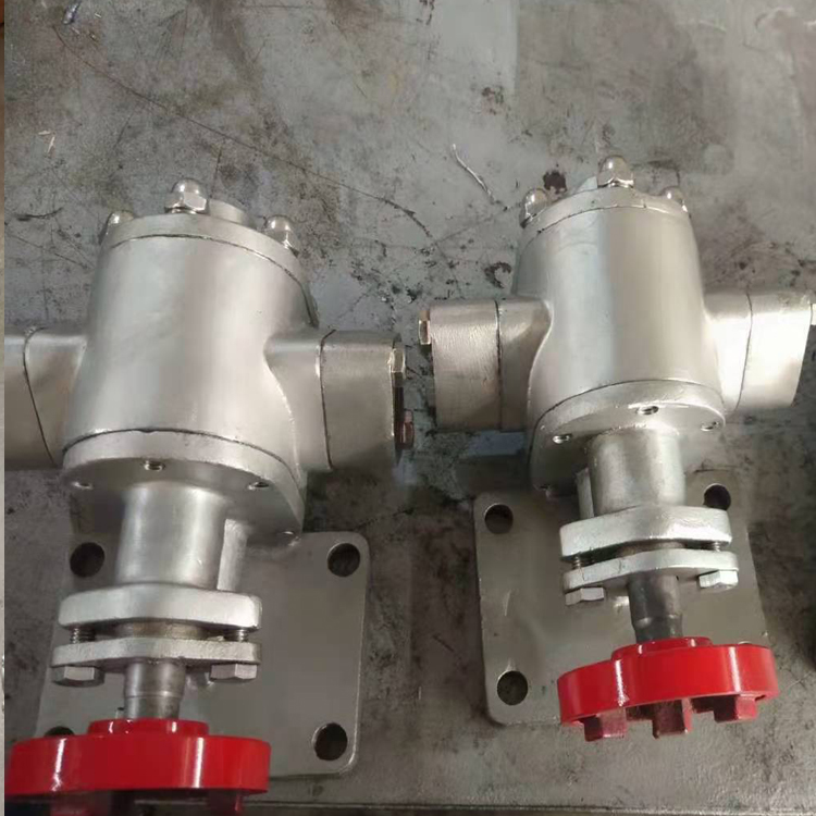 KCB耐腐蚀齿轮泵 不锈钢齿轮泵 食用油输送泵