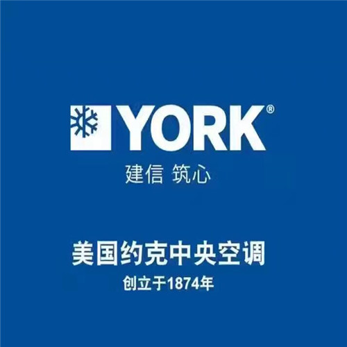 深圳市约克空调风冷模块YCAE130G厂家