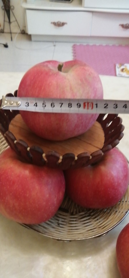 红富士丑苹果一件代发 红富士丑苹果产地销售报价-阿拉尔市万海果业农民专业合作社