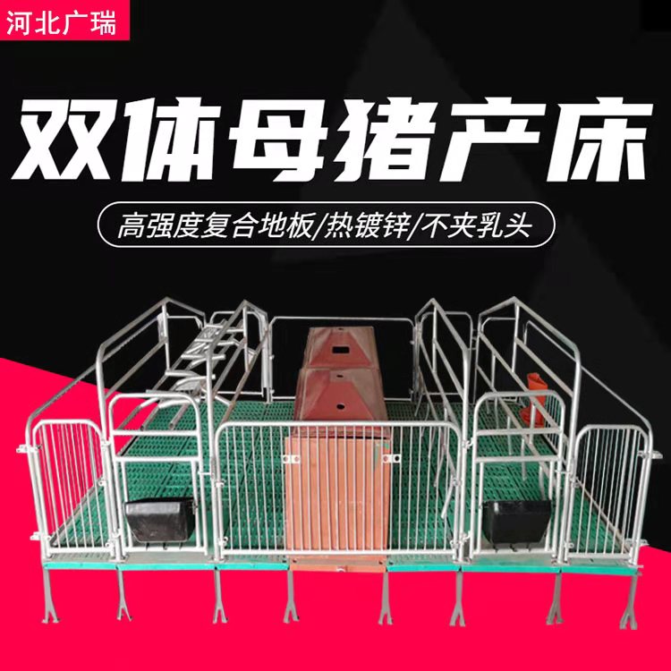 2021年新款双体母猪产床产保一体两用热镀锌猪用定限位栏养殖设备