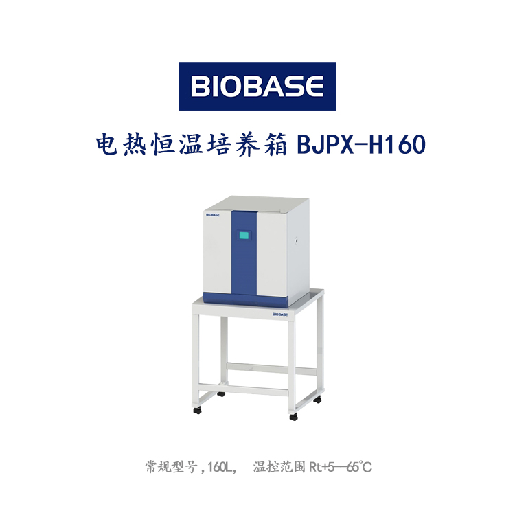 博科BJPX-H系列常规型号BJPX-H160  电热恒温培养箱