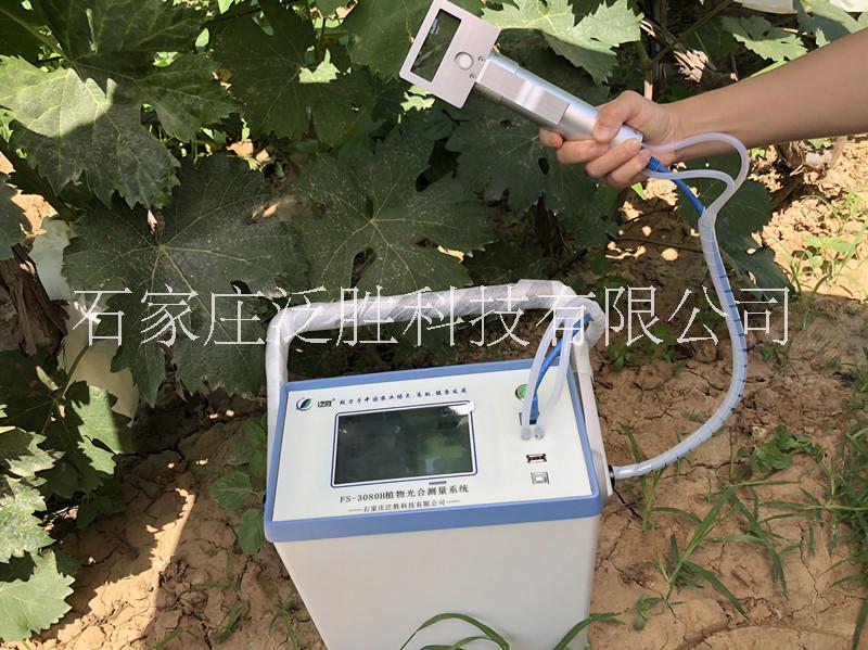 FS-3080H植物光合测量系统