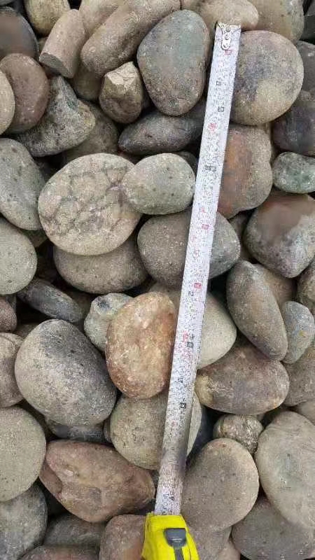 【腾泉环保】厂家批发广西景观鹅卵石 鹅卵石质量哪家好 广西天然鹅卵石 人工挑选鹅卵石
