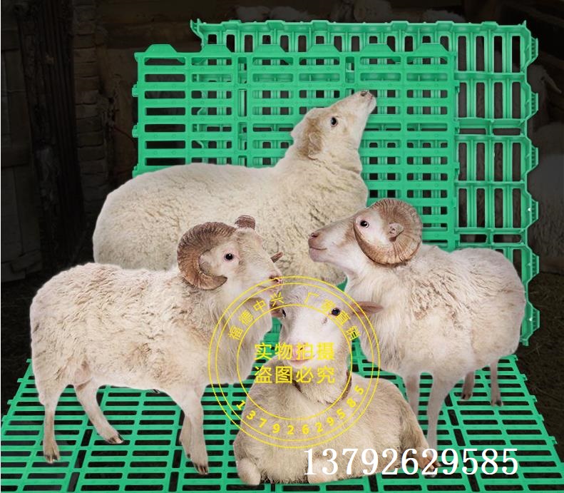 羊用垫板 羊床价格 羊子漏粪板