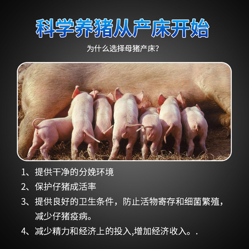 母猪简易产床母猪简易产床双体定位栏仔猪保育多功能落地设备产床