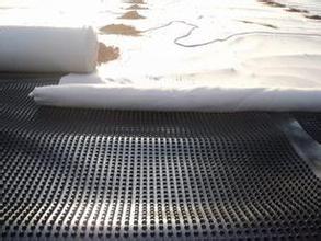 排水板厂家 塑料排水板供应 凹凸排水板现货  排水板专业制造
