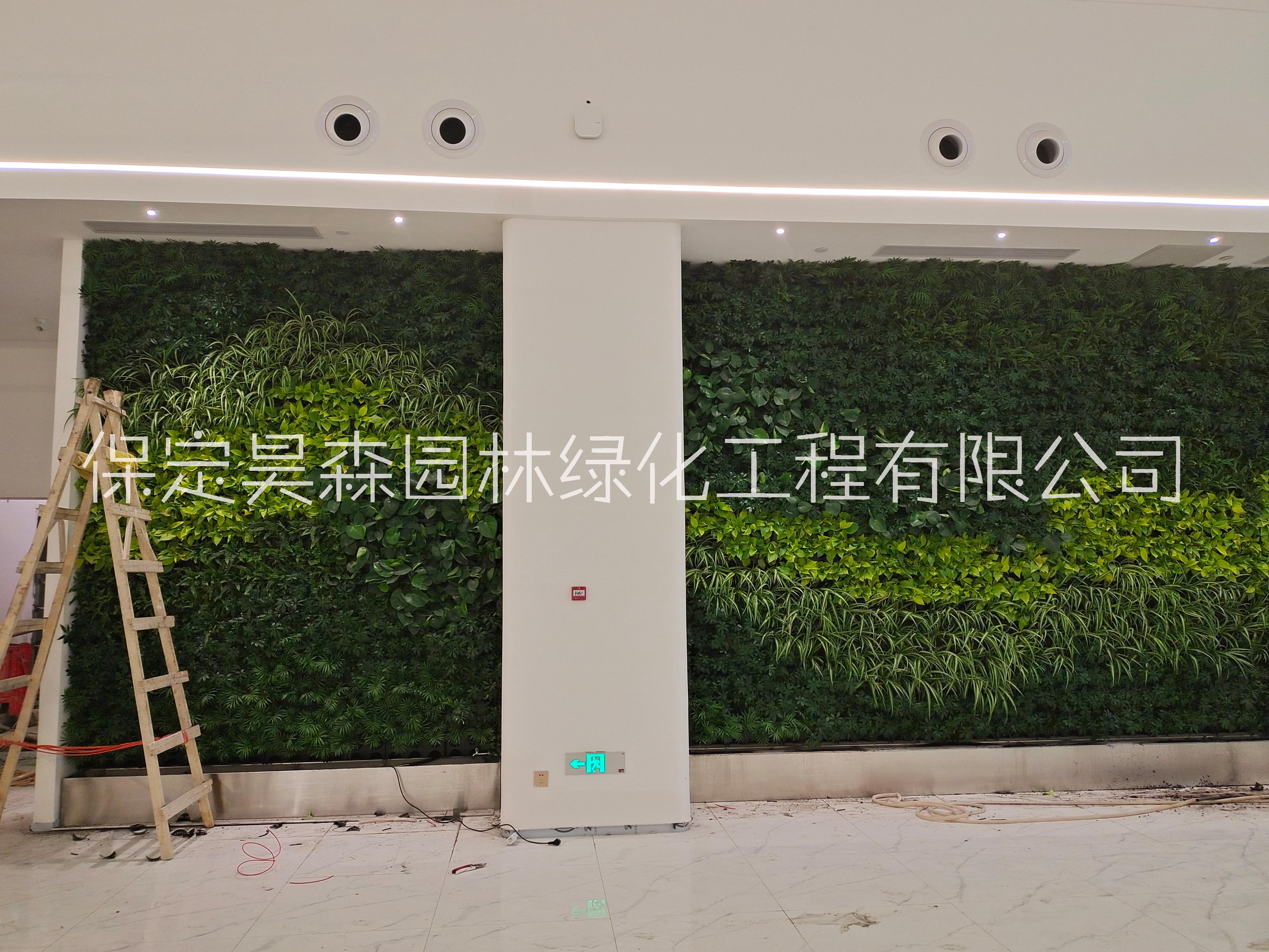 河北立体植物墙工程报价、立体植物墙定制图片
