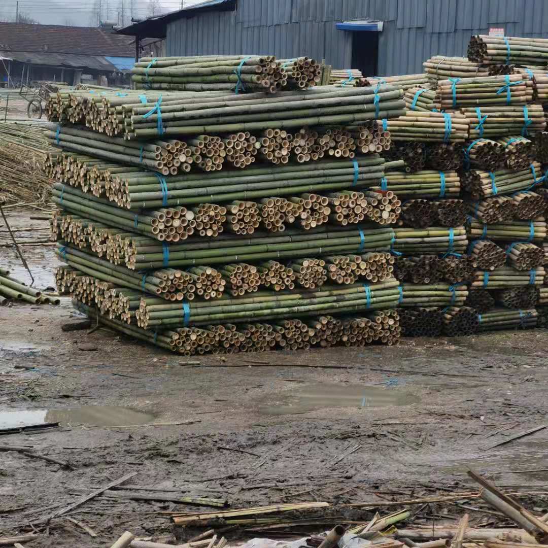 园林绿化树木支撑杆 竹竿厂家，竹芭片，竹架板，