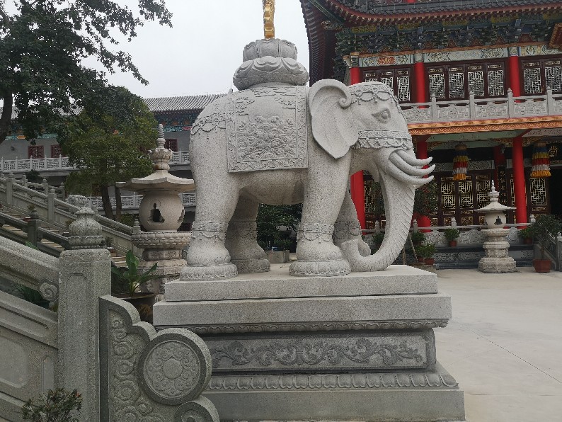 花岗岩石雕大象 惠安石雕制造商 杰源石业大象